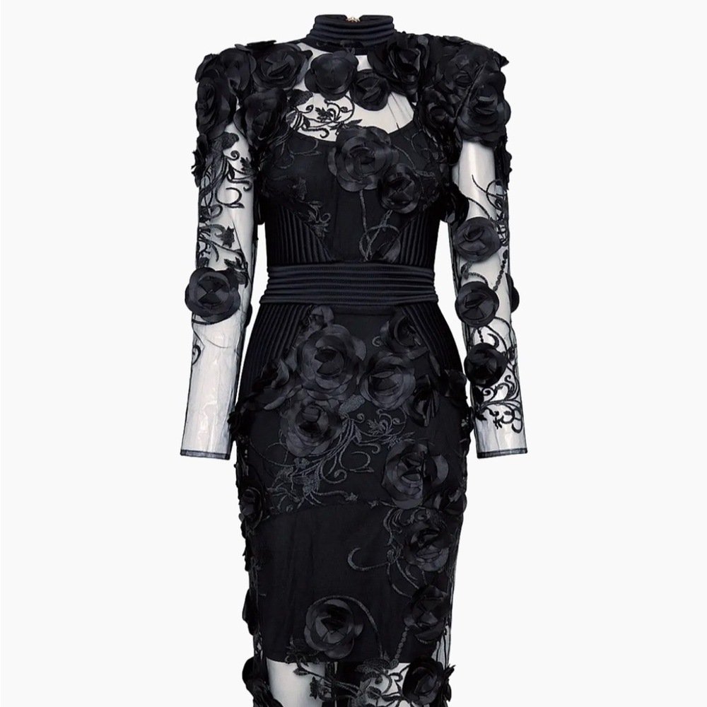 Zhivago

Battle Lines Floral-Embellished Vendetta Dress